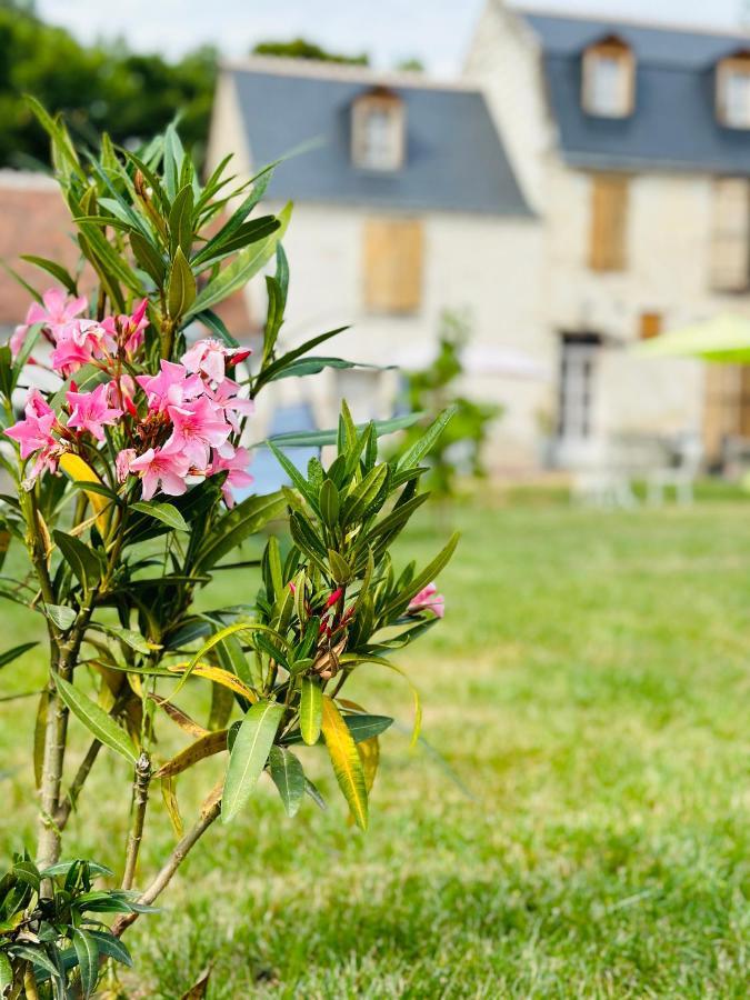 The Ronsardienne Suite In A Charming Mansion At The Gates Of Tours Saint-Avertin Eksteriør billede